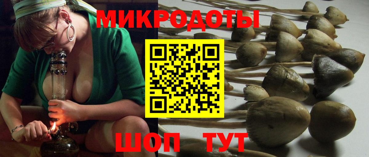Галлюциногенные грибы Magic Shrooms  Псилоцибиновые грибы Magic Shrooms  Вход с VPN  Советская Гавань 