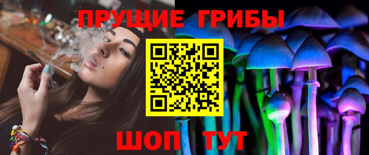 Псилоцибиновые грибы Psilocybe Советская Гавань